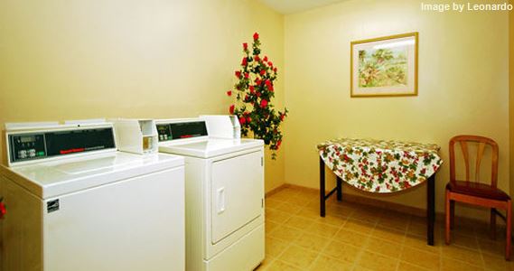 Amelia Inn & Suites - photo 10
