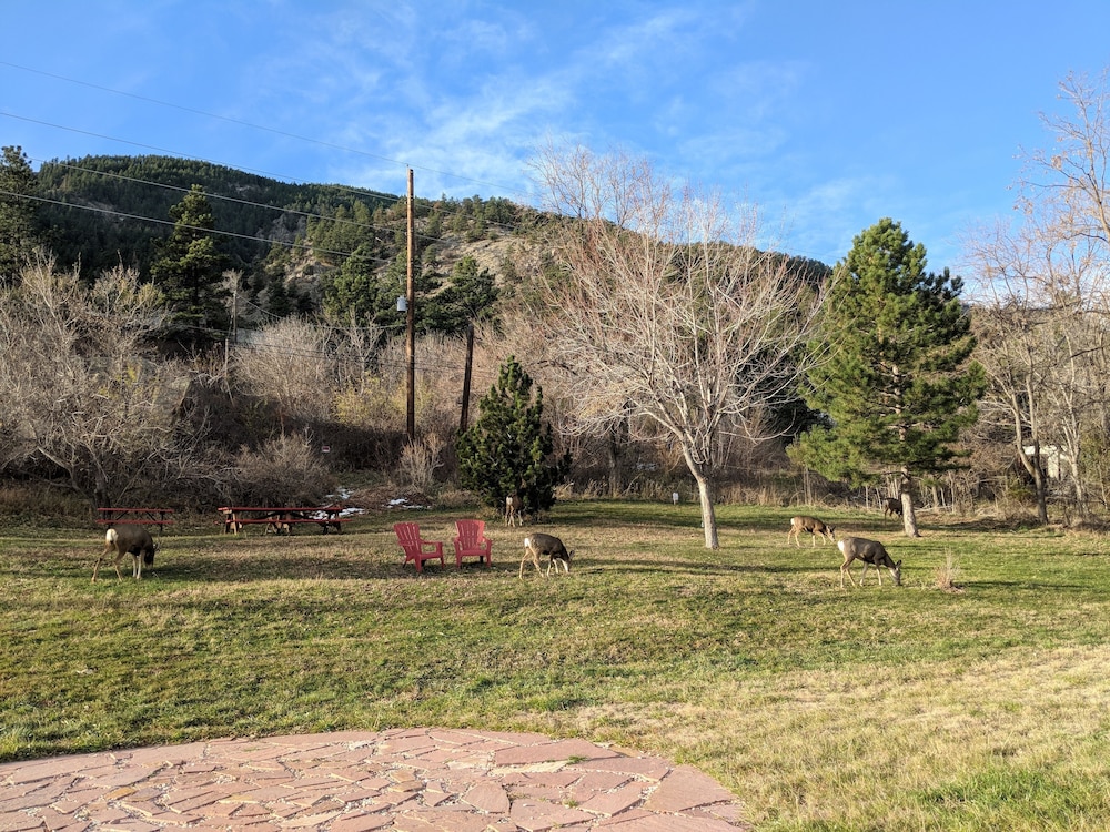 Foot of the Mountain Motel - photo 49