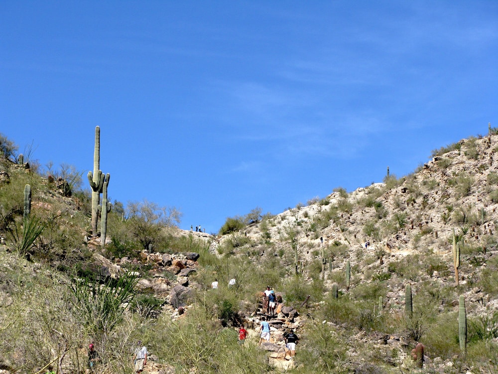 Hilton Phoenix Tapatio Cliffs Resort - photo 64