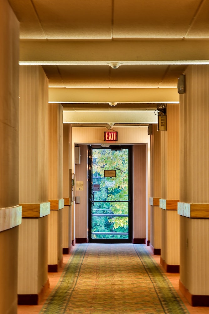 The View Inn & Suites - photo 32