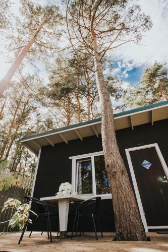 Kroņkalniņi in Unknown City, Latvia