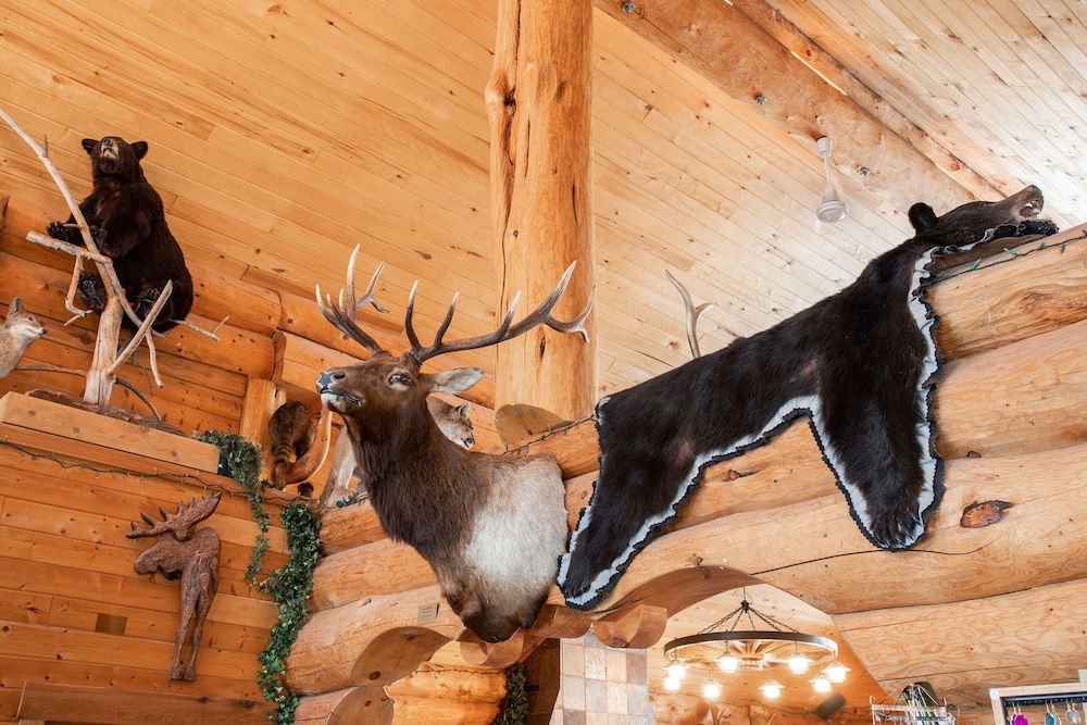 Lochsa Lodge Resort - photo 10