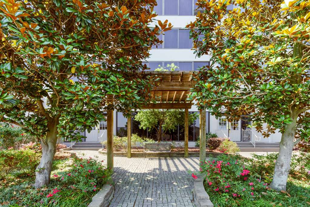 La Quinta Inn & Suites by Wyndham New Orleans Airport - photo 5