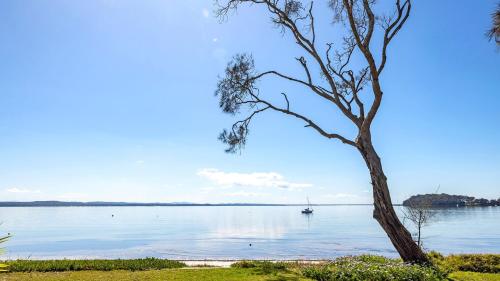 Foreshore Delight — Salamander Bay