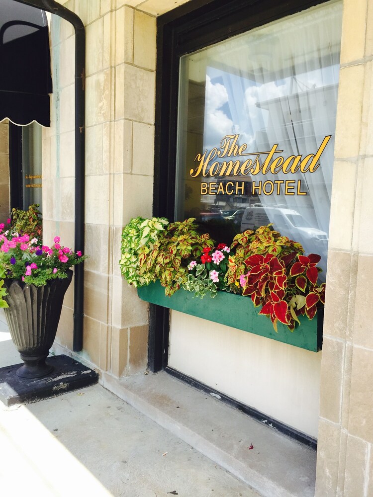Homestead Beach Hotel - photo 25