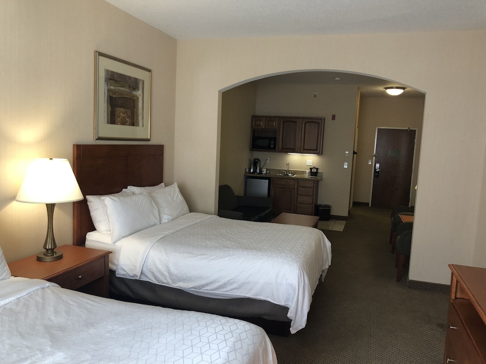 Holiday Inn Express Hotel & Suites Lansing Dimondale by IHG - photo 12