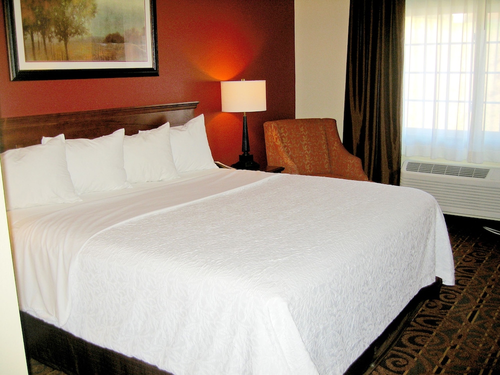Savanna Inn & Suites - photo 6