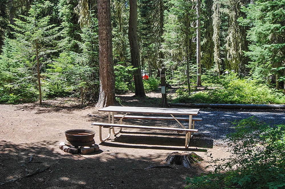Shelter Cove Resort and Marina - photo 130