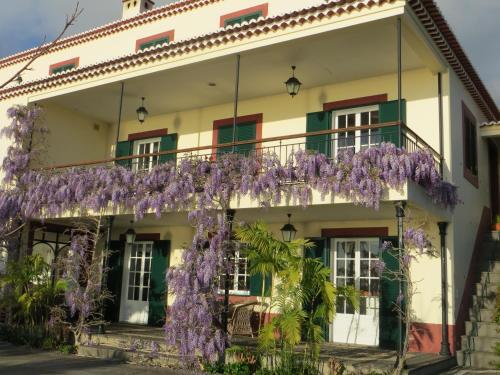 Quinta Do Cabouco — Ribeira Brava