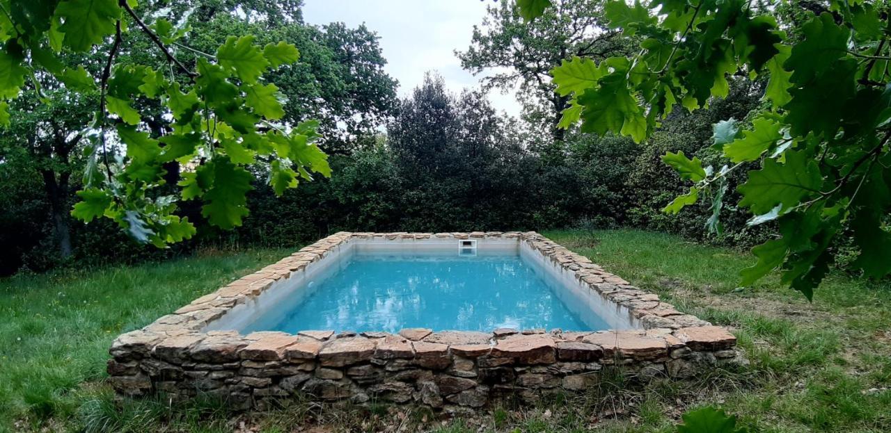 Les Lilas Des Chenes — hotel in Piolenc