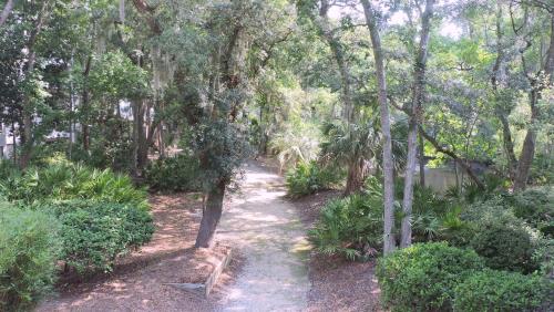 Treetops Villas - photo 15