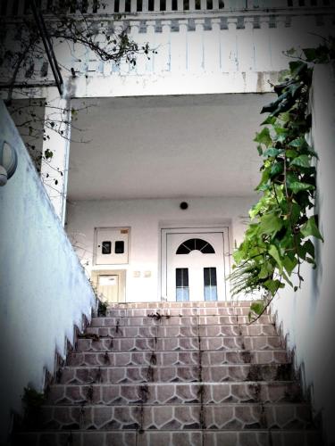 AdelFa 2025 Welcome to Rest in Bar, Montenegro