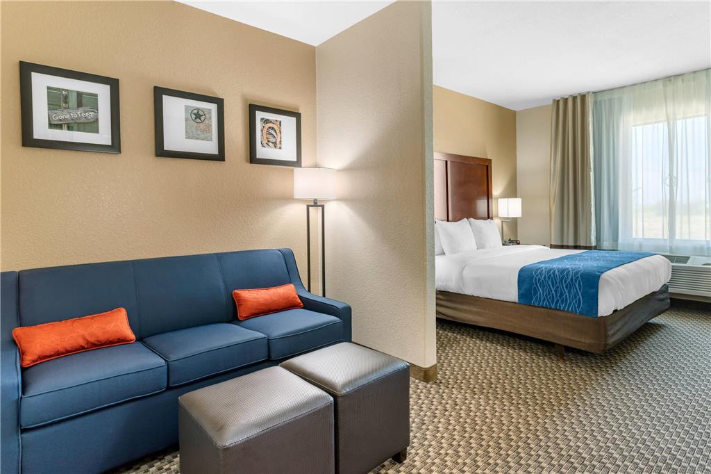 Comfort Inn & Suites Navasota - photo 15