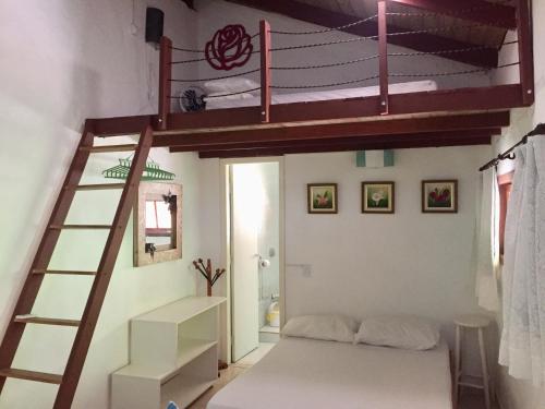 Casa Mico Leão Dourado