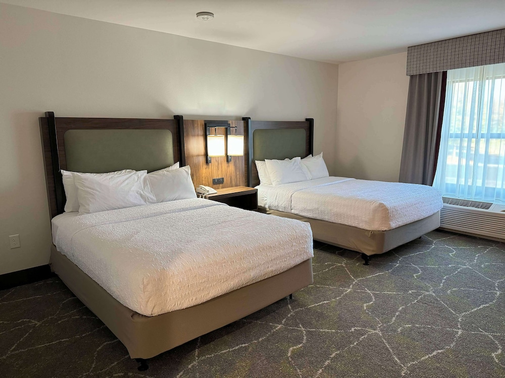 Hampton Inn and Suites Dobson - photo 14