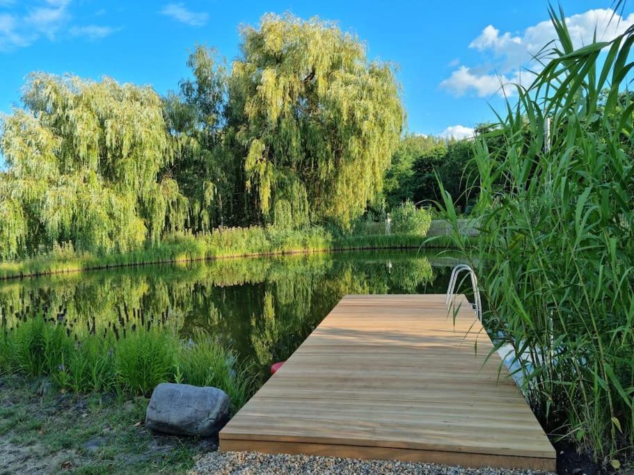 Reethouse Nature Resort Pool Sauna Swimming pond — 4-Star Luxury Hotel in Kiskunmajsa, Hungary
