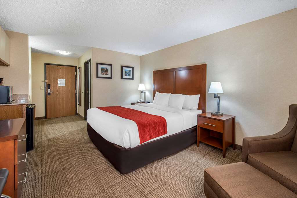 Comfort Inn Denver Southeast Area - photo 6