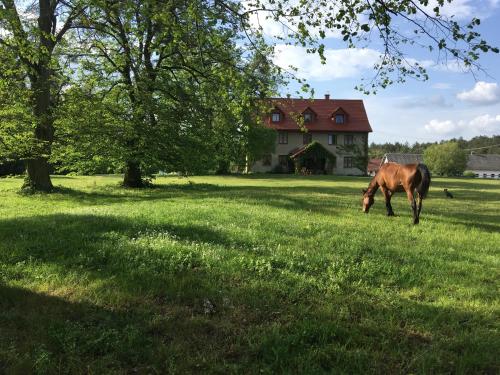 Polanka Agroturystyka i Konie in Horyniec-Zdroj, Poland
