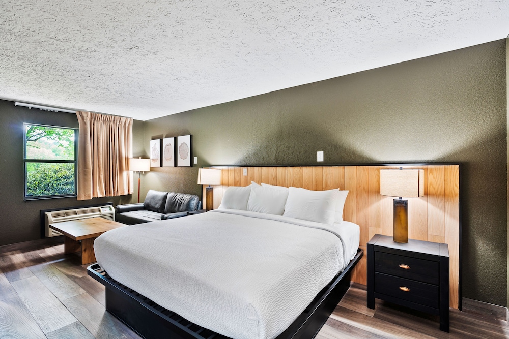 Tremont Lodge & Resort - photo 100