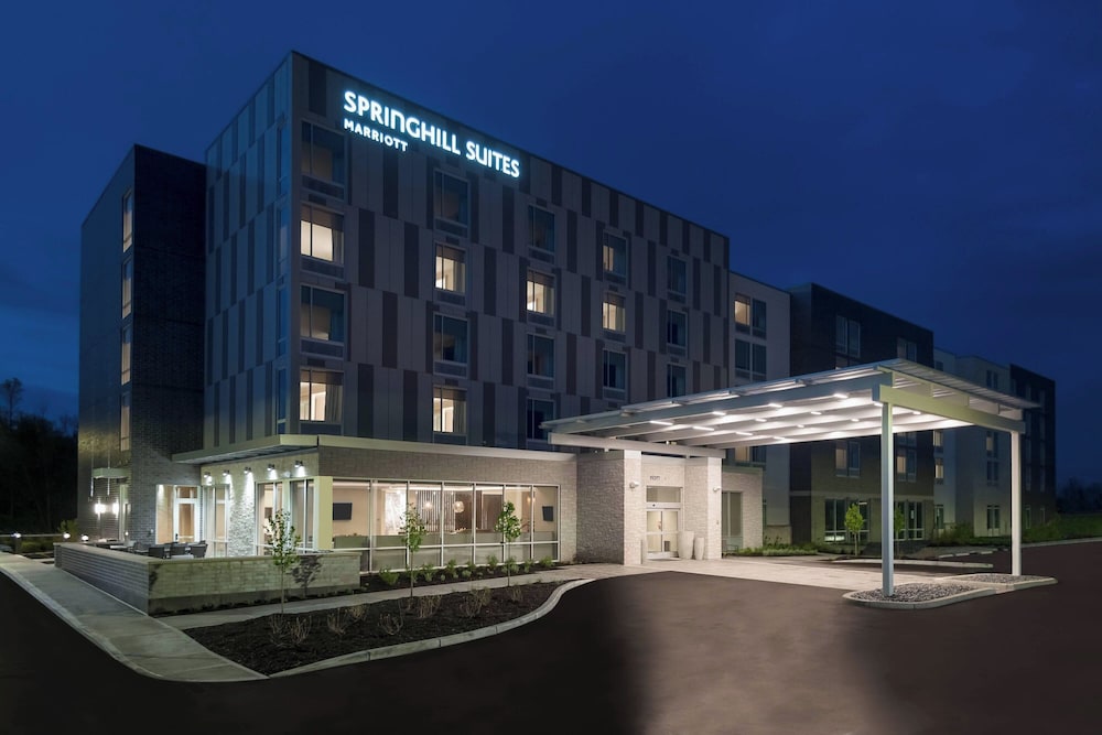 SpringHill Suites by Marriott Indianapolis Westfield - photo 24