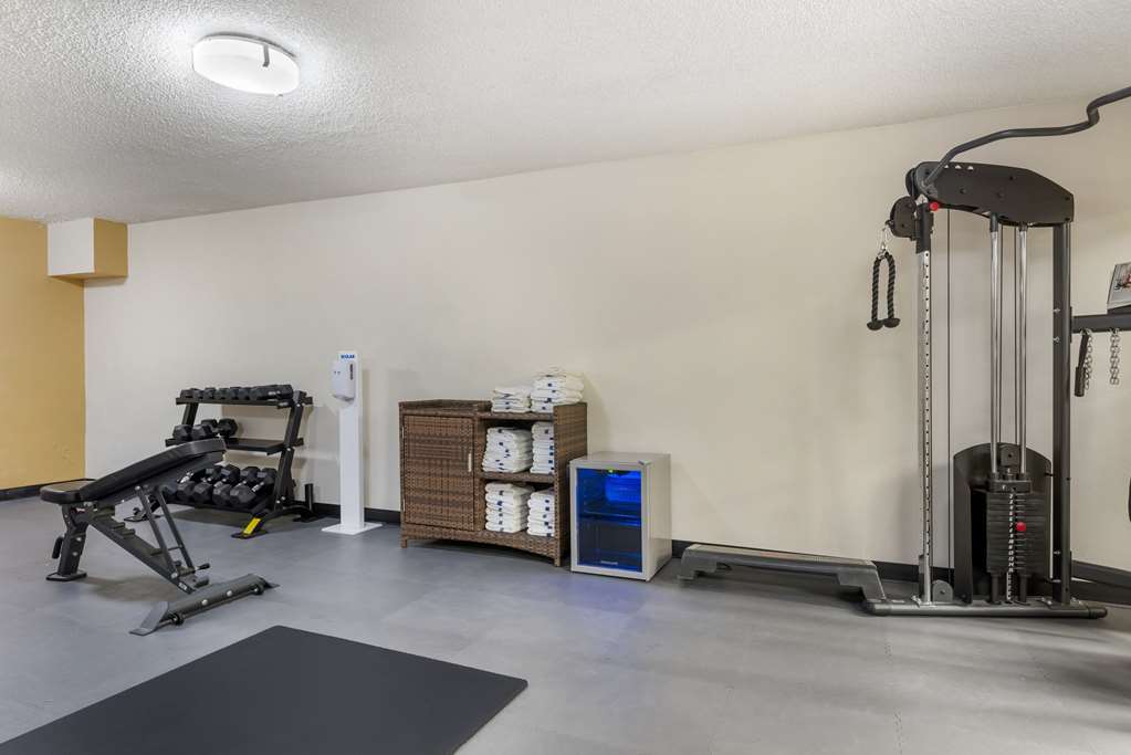 Quality Inn Alamosa - photo 22
