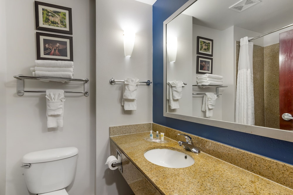 Comfort Suites Atlanta Airport - photo 21