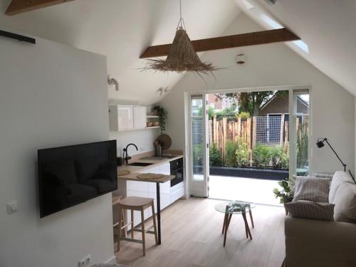 Dune Vieuw in Zandvoort, Netherlands