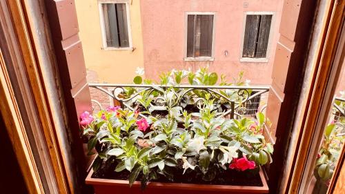 Corte dei Quadri Simoni — Venice — photo 5