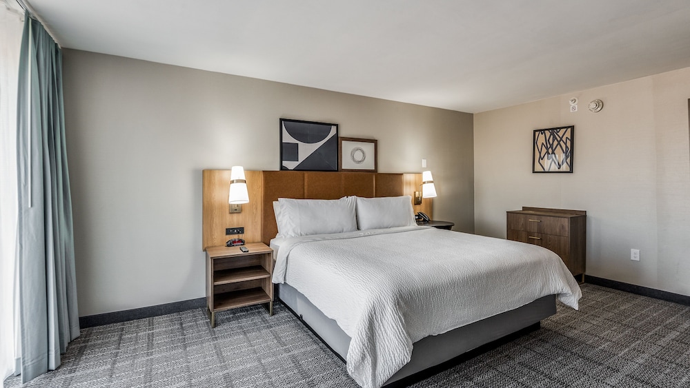Staybridge Suites Dallas Market Ctr Love Field by IHG - photo 7