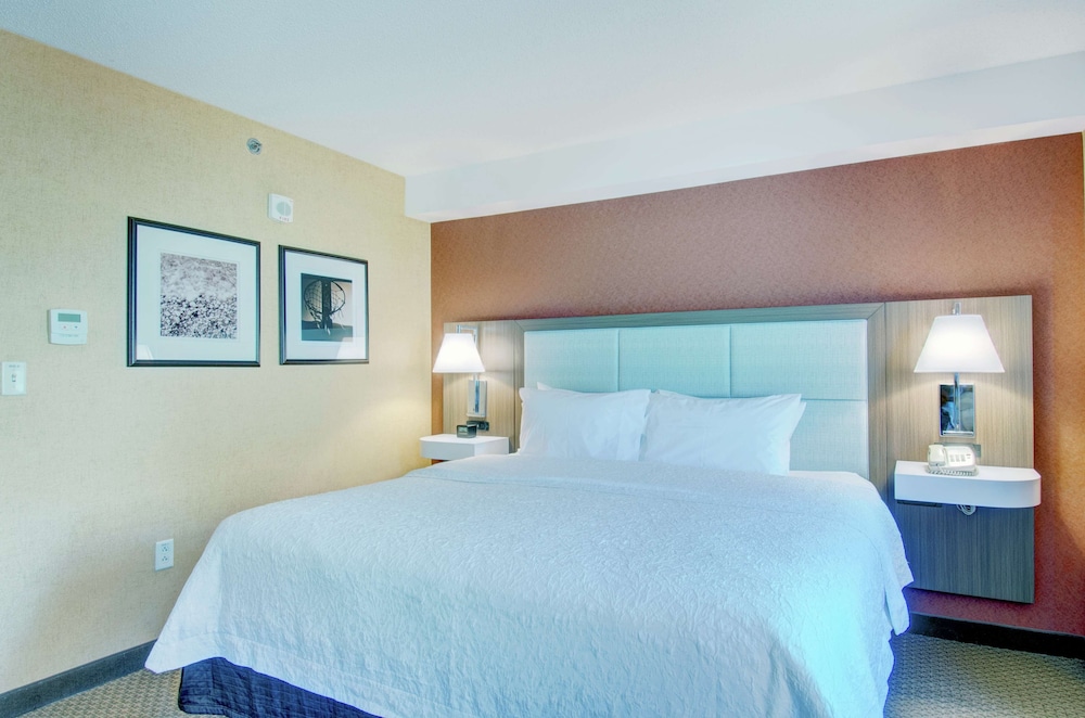 Hampton Inn & Suites Boston Crosstown Center - photo 6