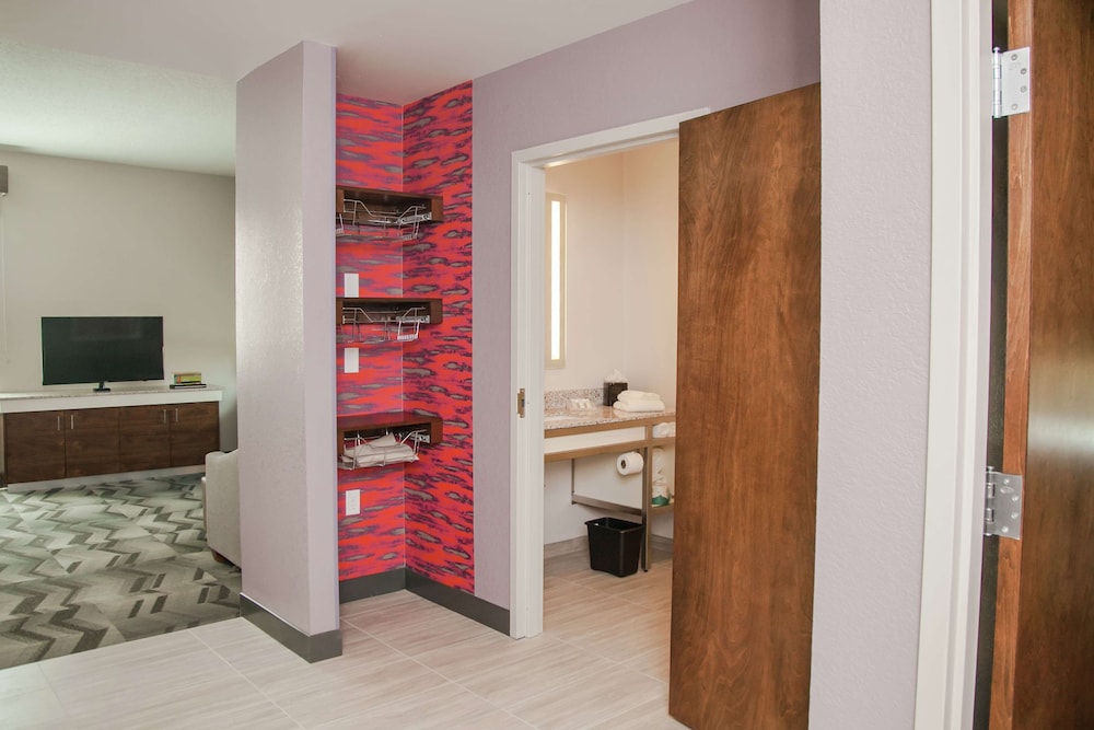 Hilton Garden Inn Tampa Suncoast Parkway - photo 23
