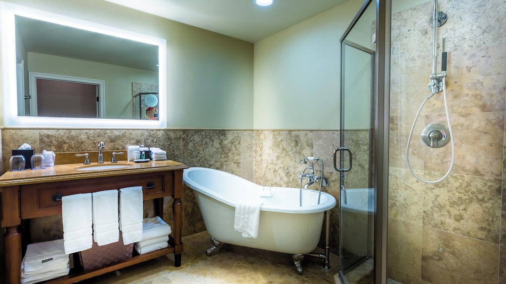 The Westin Sacramento Riverfront Hotel & Spa - photo 42