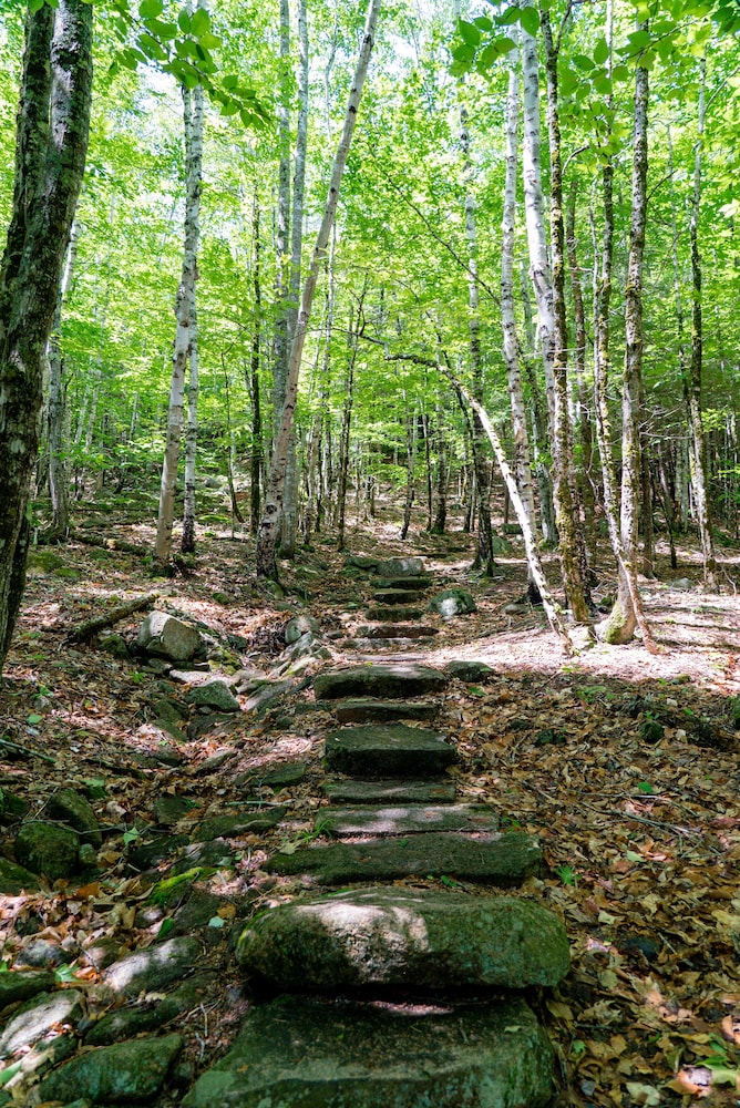 Under Canvas Acadia - photo 36