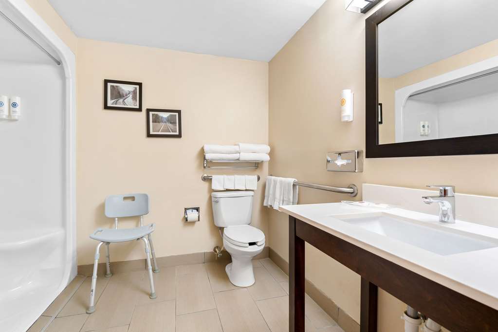 Comfort Suites near Robins Air Force Base - photo 8
