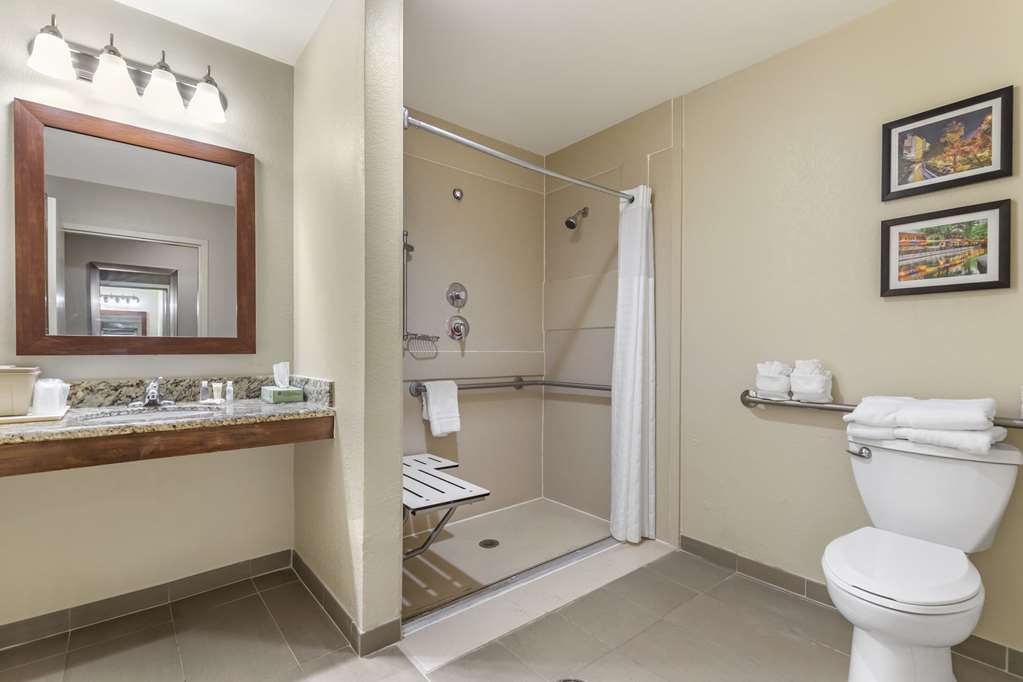Comfort Suites Medical Center near Six Flags - photo 24
