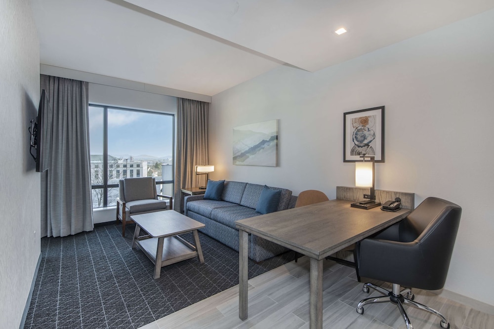 Embassy Suites By Hilton Asheville Downtown - photo 10