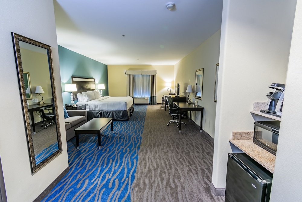 Holiday Inn Houston Webster by IHG - photo 21