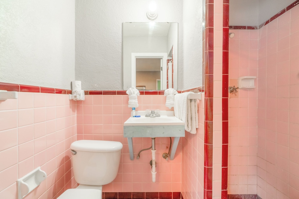 Alamo Oasis Inn And Suites By Oyo San Antonio - photo 29