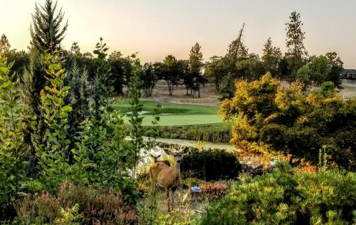 Resort at Eagle Point - photo 5