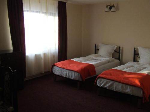 Pensiunea Hanami — 4-Star Luxury Hotel in Bacau, Romania