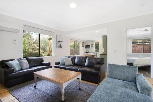 Cobden & Wills & Studio — Bright — photo 5