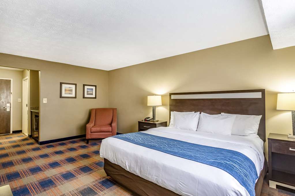 Comfort Inn Independence Cleveland - photo 24