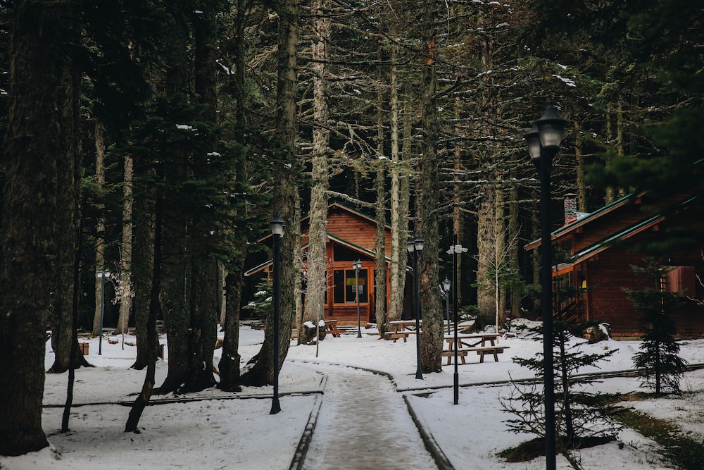 Karinna Forest Houses - last minute hotel in Bursa