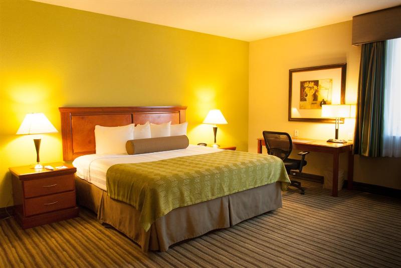Best Western Plus Miami Doral Dolphin Mall - photo 14