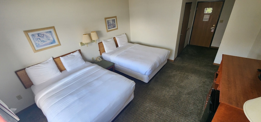 Plymouth Suites Hotel - photo 6