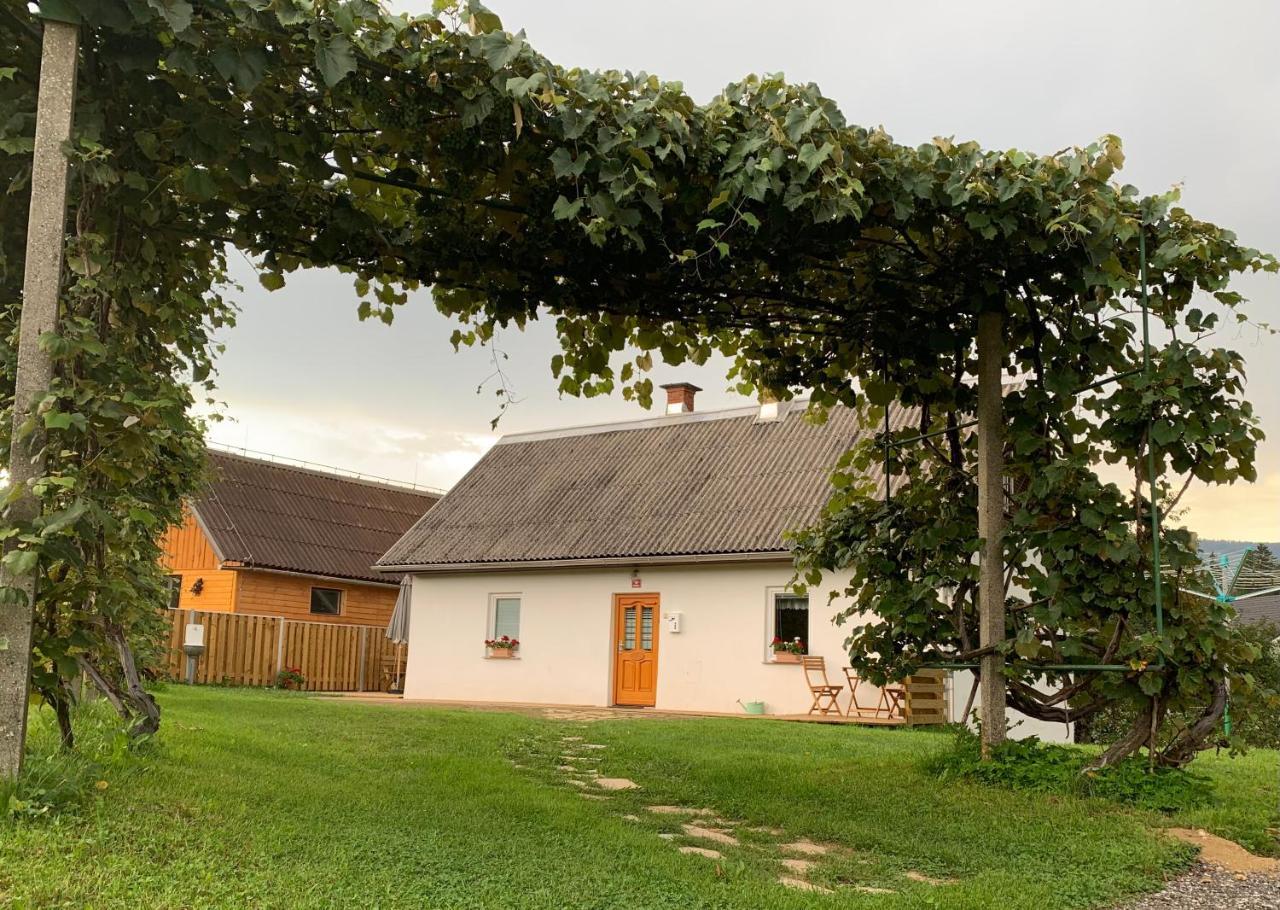 Grandma's House — 4-Star Luxury Hotel in Radlje Ob Dravi, Slovenia
