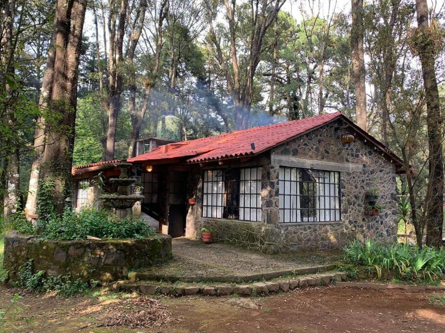 Hermosa Cabana En El Bosque pet-friendly hotel Tres Marias