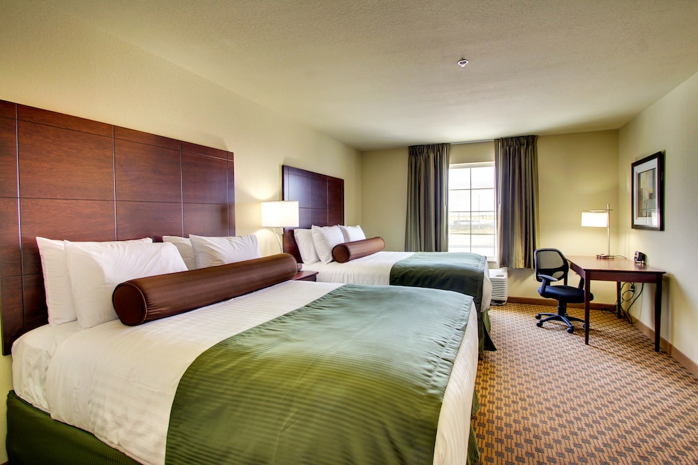 Cobblestone Hotel & Suites Pecos - photo 19