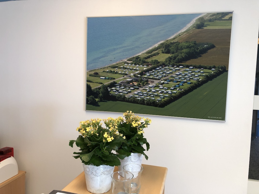 Hygge Strand Camping — Odder — photo 4