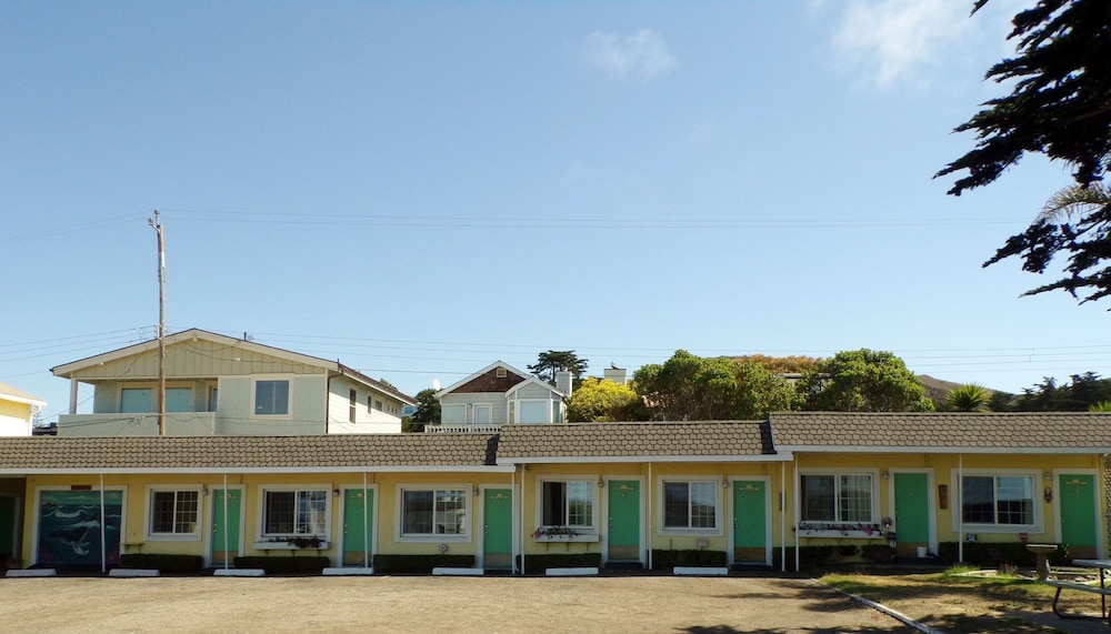 Cypress Tree Motel - photo 95